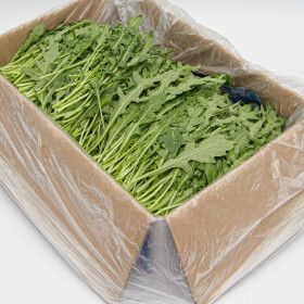 상품 이미지: 국내산 특품 와일드 루꼴라 한박스 1kg 루콜라 샐러드용 야채