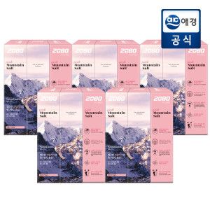 상품 이미지: 2080 퓨어 마운틴 솔트 치약 핑크민트향 120g x 15개