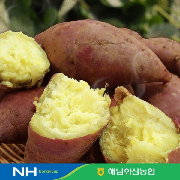 상품 이미지: 해남 화산농협 햇 밤고구마 3.5kg+3.5kg