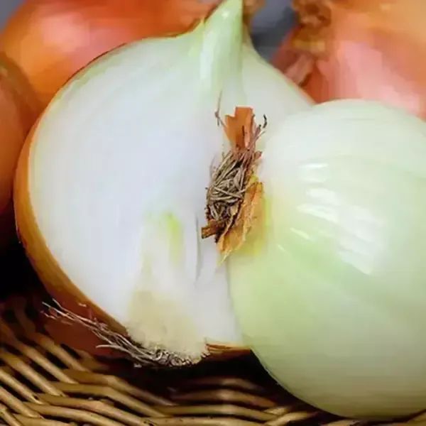 상품 이미지: [아리팜] 26년 무안 햇양파 3kg, 5kg 등