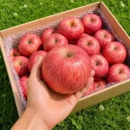 상품 이미지: [50박스한정] 홍로사과 5kg 박스포함 햇사과 꿀사과 실중량 4.5kg