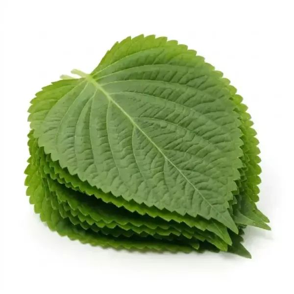 상품 이미지: 국내산 깻잎 1kg