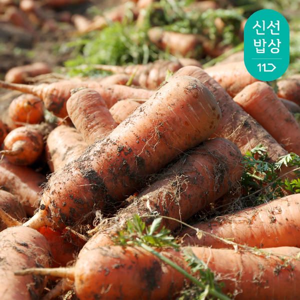 상품 이미지: [품질보장] 아삭달큰 국내산 햇 흙당근 2kg (중)