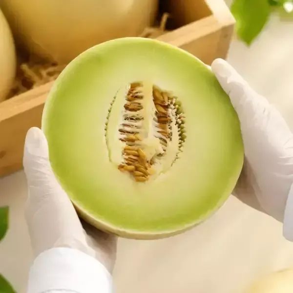 상품 이미지: 미국산 고당도 허니듀멜론 대과 3.7kg 내외 (2입)