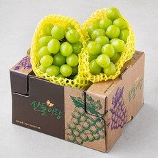 상품 이미지: 산들이랑 비파괴당도선별 샤인머스캣, 1kg(1-2수), 1개