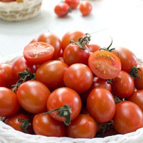 싱싱한 대추방울토마토 5kg(4번/소과)