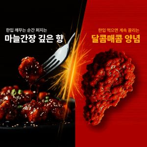 상품 이미지: 멕시카나 닭강정 매콤달콤맛 마늘간장맛 500g  4팩