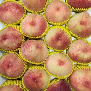 상품 이미지: 떨이농산 경북 햇 털 복숭아 4kg (말랑이/딱딱이/크기 랜덤)