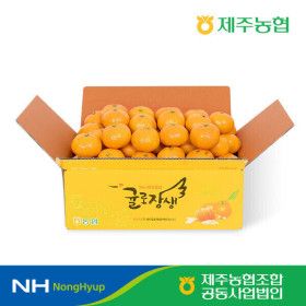 상품 이미지: (신선집중) 제주농협 귤로장생 하우스감귤 2.5kg 소과(2S 이하)