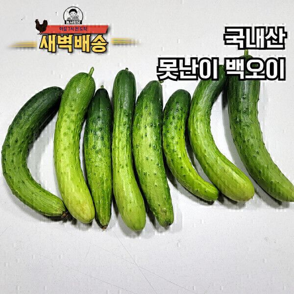 상품 이미지: 새벽배송 당일작업 국내산 못난이 백오이 10kg