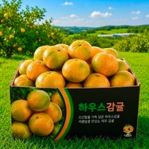 상품 이미지: (타임특가) 유명산지 제주 하우스감귤 5kg 대과 정품 고당도 프리미엄 박스포함 제주직송