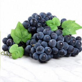상품 이미지: (신선집중) 여름 포도 켐벨 2kg (특품) 우체국배송 캠벨포도