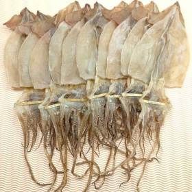상품 이미지: 동해안 건오징어 10마리 400g 국산 최저가.