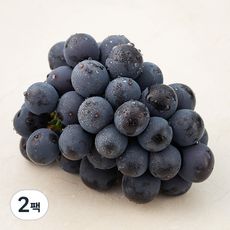 상품 이미지: 국내산 거봉, 500g, 2팩