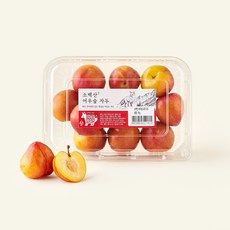 상품 이미지: 디에스푸즈 꼬마 자두, 1개, 1kg
