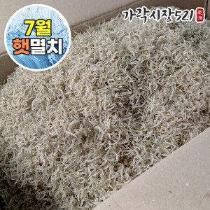 상품 이미지: (신선집중)  7월 첫출하 26년 햇멸치 골라담기 1.5kg 대용량 / 볶음용 안주용 국물용 멸치 기획전