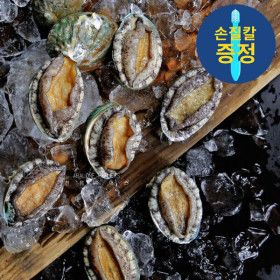 상품 이미지: 완도전복 특대1kg(7-8마리) 전복파머스 선물용전복 손질도구 및 봉지미역(20g) 각1개씩 증정