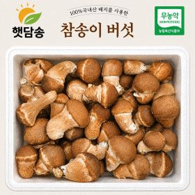 상품 이미지: 햇담 참송이버섯 B급이하 가정형 500g 1kg 농협에 납품하는 무농약 이천 참송이버섯 품질보장 농장 직접배송