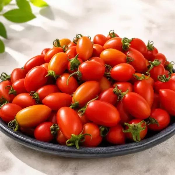 상품 이미지: [농협중도매인]황금열매 대추방울토마토 2kg 1~2번과