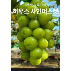 상품 이미지: 산지직송 고당도 샤인머스캣 2kg 3~4수
