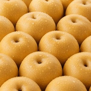 상품 이미지: (핫딜특가) 국내산 햇 배 5kg 로얄과 10-15과 내외 특품 프리미엄 달콤아삭 시원아삭
