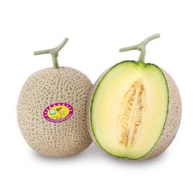 상품 이미지: 새콤푸룻 굿뜨래 농협선별 고당도 머스크 메론 멜론 4수(4개입/총 8kg) 프리미엄 당도보장 가정용 선물용