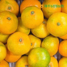 상품 이미지: (제주남원농협)제주남원농협 산지직송 제주 고당도 하우스 감귤 중대과 4.5kg (실중량)