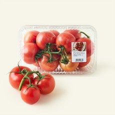 상품 이미지: 광식이농장 줄기째 수확해 더 신선한 토마토