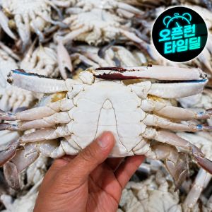 상품 이미지: 활 숫꽃게 1kg + 1kg 총 2kg 단하루 특가 행사
