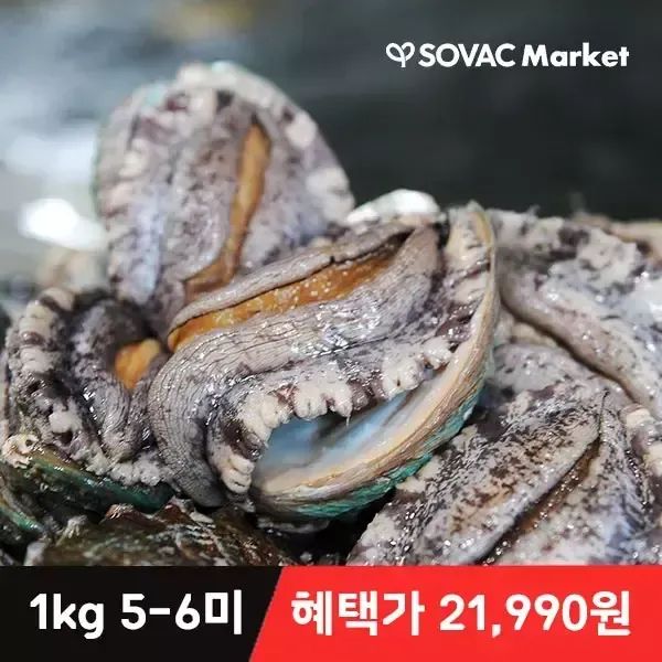 상품 이미지: [바다마을] 완도 산지직송 활 전복 5-6미 1kg 프리미엄 특대 산소포장
