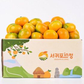 상품 이미지: (신선집중) 서귀포인정 하우스감귤 2kg 중대과 /소과(2S이하)  원물 실중량 / 농협 당도 선별