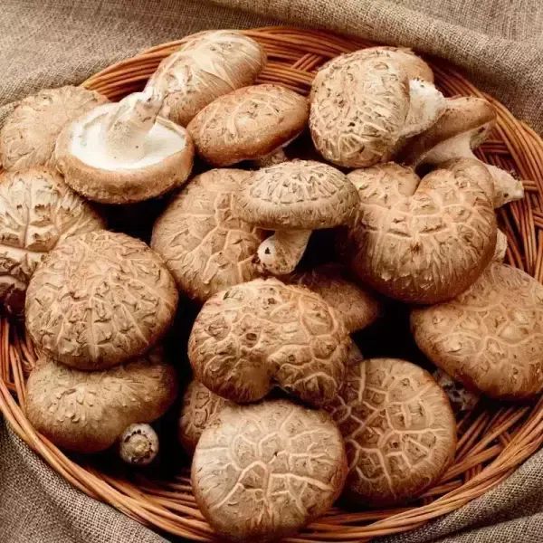 상품 이미지: 못난이 표고버섯 1kg