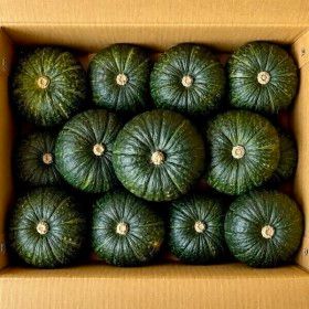 상품 이미지: (마감세일) 포슬포슬 제주 미니밤호박 3kg  정품 특품 로얄과 5-9과내외 박스포함 단호박 보우짱
