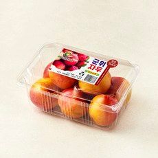 상품 이미지: 이로운군위 고당도 13Brix 자두, 1개, 1kg(중과)