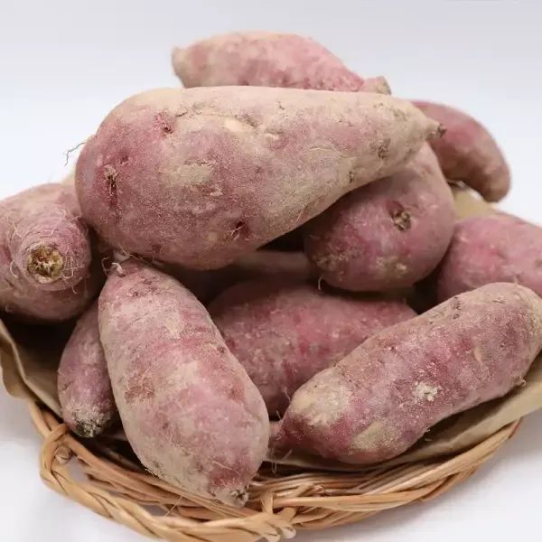 상품 이미지: 참푸른농장 농부의 마음을 담은 26년 햇 밤고구마_5kg/10kg