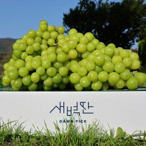 상품 이미지: (신선집중) 경북 샤인머스켓 씨없는 포도 망고포도 고당도 영천 샤인머스켓 2kg 4수