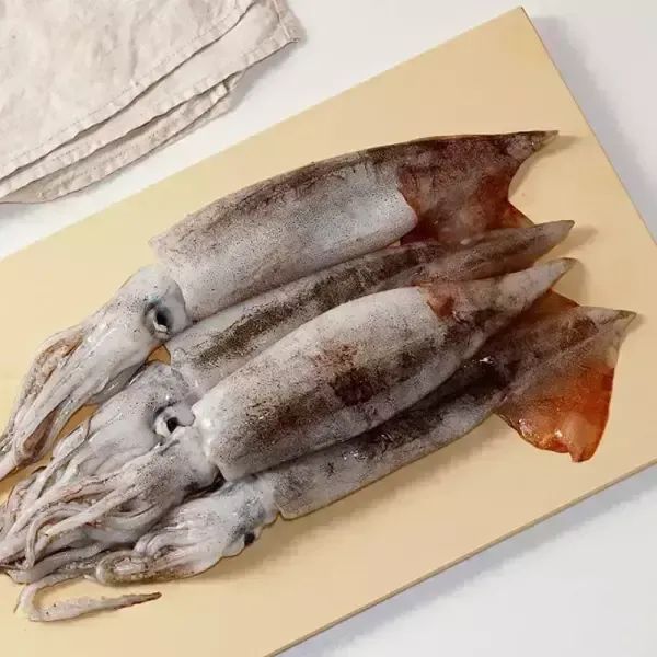 상품 이미지: 국내산 당일조업 서해안 생물 오징어 얼음포장 700~800g (3~5미)