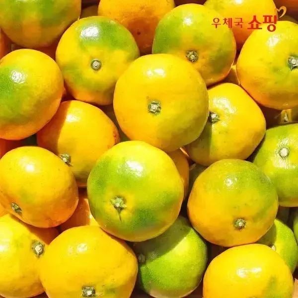 상품 이미지: [우체국쇼핑] 국내산 제주 하우스 감귤 2kg (2개 구매시 5kg)