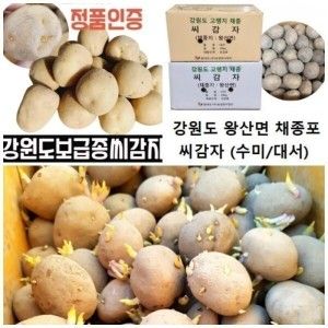 상품 이미지: /한정/특가/정품/강원도/씨감자/수미/대서/두백4kg/봄/여름/파종/