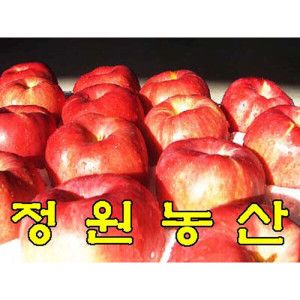 상품 이미지: 정원농산 껍찔째먹는사과 5키로 가정용사과출시(마른흠) 2026년햇사과(24과-28과내외) 골든볼.홍로부터시작~