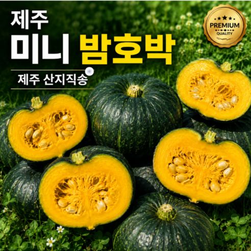 상품 이미지: 산지직송 제주 미니 밤호박 단호박, 3kg, 1개