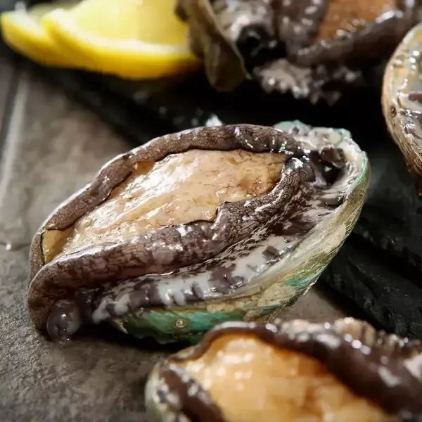상품 이미지: 두결수산 완도 활 전복 1kg [5~7미] 산소포장
