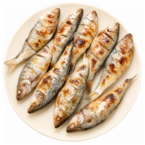 상품 이미지: [산지직송] 남해 자연산 햇전어 생물 1kg 구이용 전어 싱싱한 제철 생선, 1개, 500g