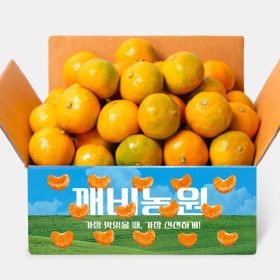 상품 이미지: (신선집중) 깨비농원 제주 고당도 하우스감귤 2kg 소과/로얄과/중과