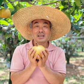 상품 이미지: (신선집중) 과일꾼 (26년 햇배) 나주배 가정용 5kg 5-7과