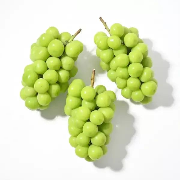 상품 이미지: [최종 11,490원] [품질보장] 당도선별 17브릭스이상! 고당도 샤인머스켓 2kg 3~4수