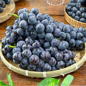 상품 이미지: 초대박특가 15brix이상 고당도 캠벨 포도 2kg (4~8수)