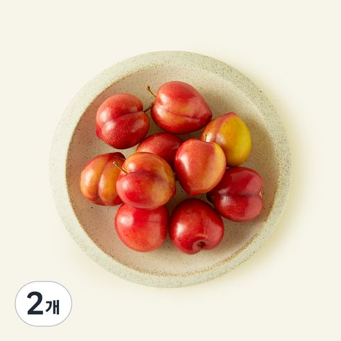 상품 이미지: 당찬 자두, 2개, 800g(대과)