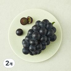 상품 이미지: 국내산 곰곰 거봉, 2개, 450g