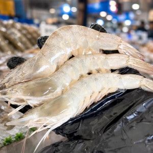 상품 이미지: (신선집중) 국내산 흰다리 새우 횟감용 1kg 35미 내외 (2개 구매 시 초장+추가 할인)
